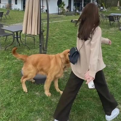 荒野谜尸